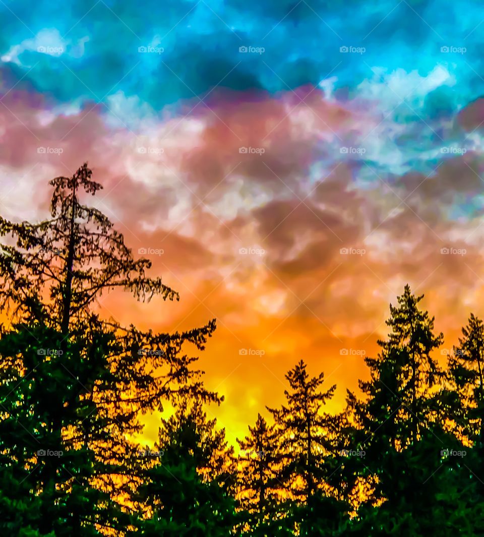 Red and blue clouds over dark forest during sunset