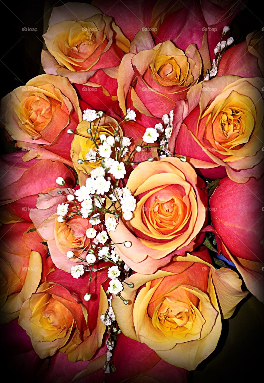 Pink and yellow rose bouquet. Pink and yellow rose bouquet