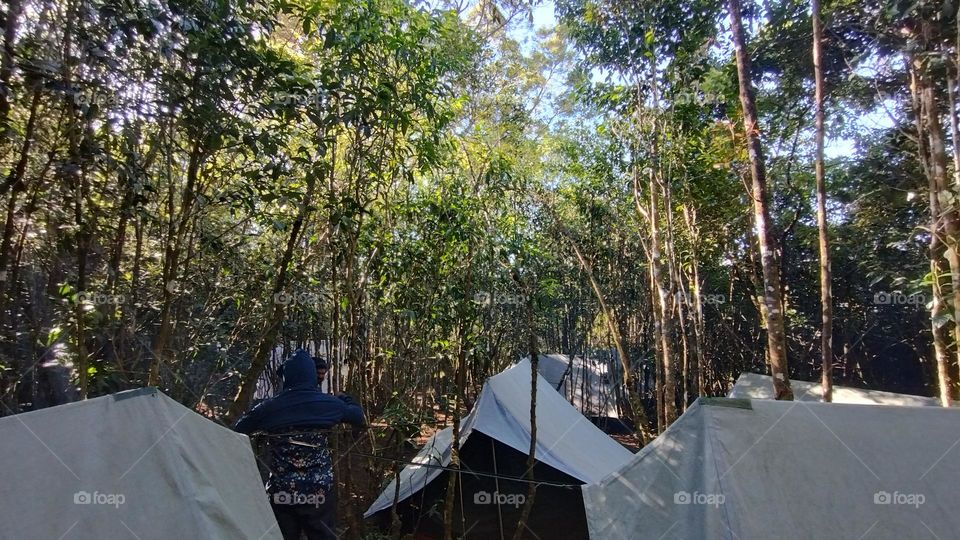 “Choose only one master—nature.” –