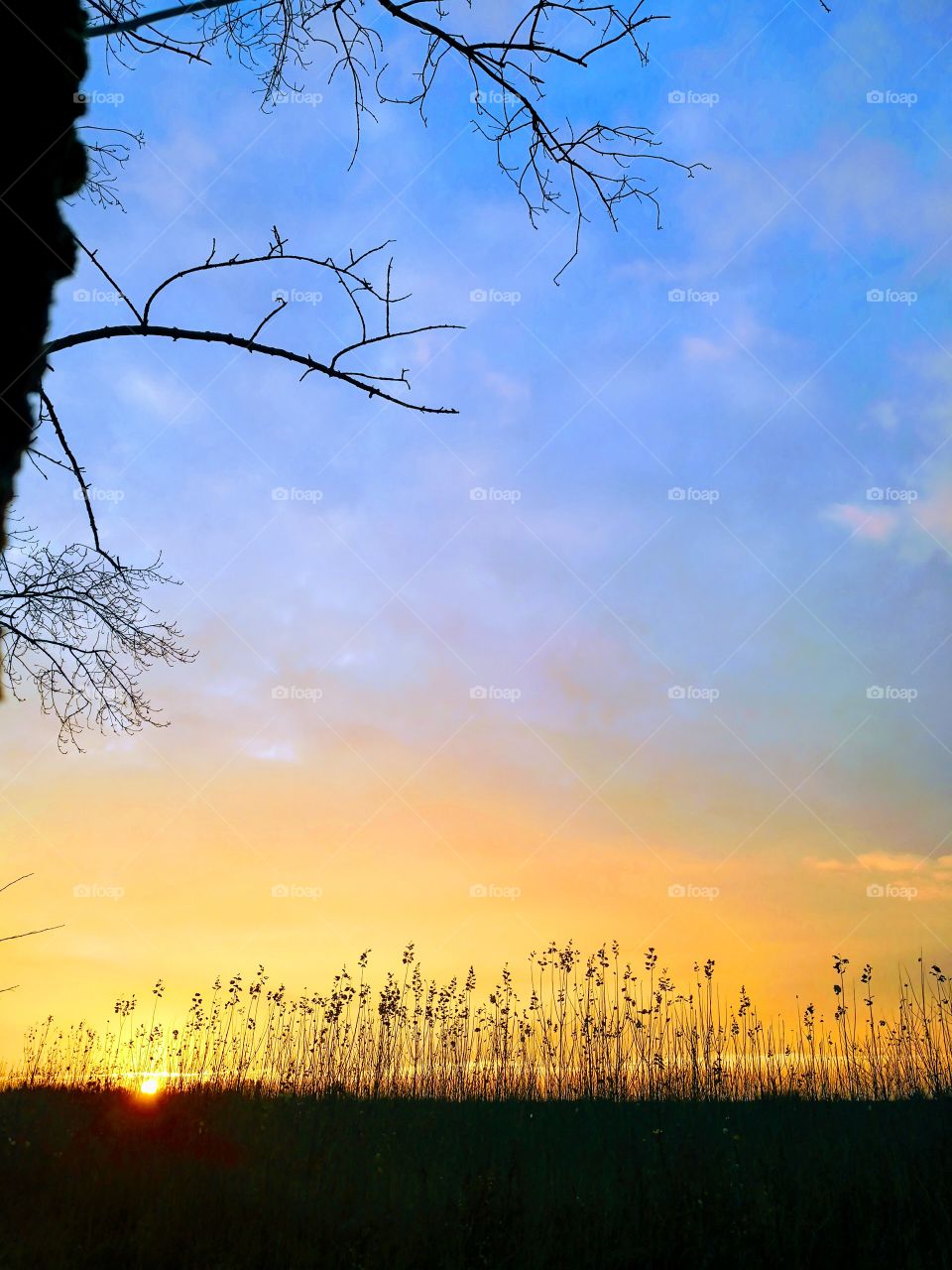 Sunset in the countryside