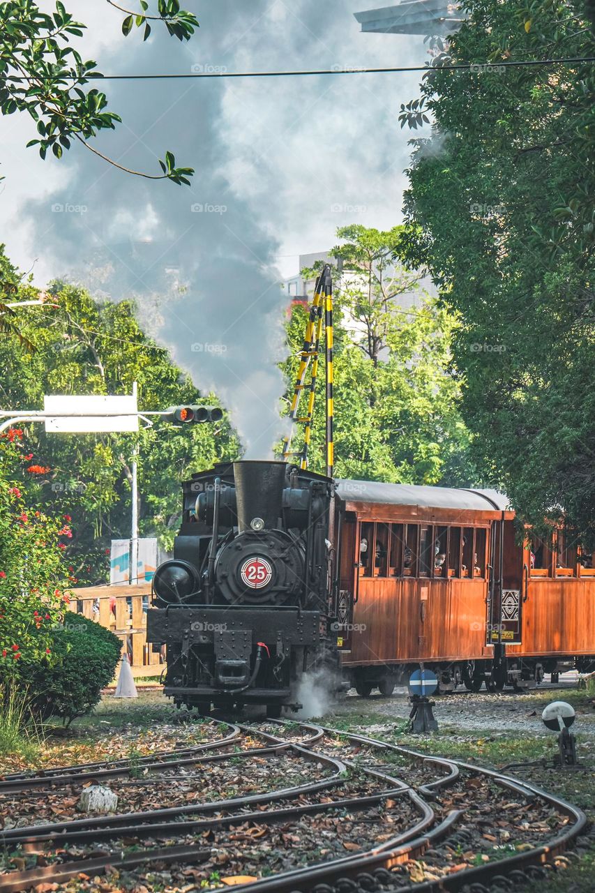 Steam train 