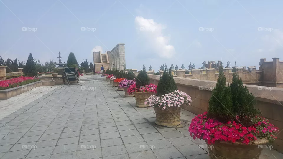 flower garden