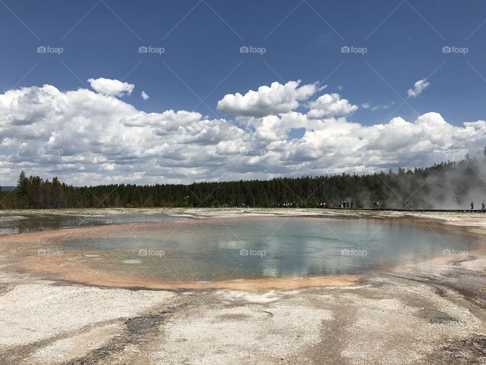 Turquoise Pool