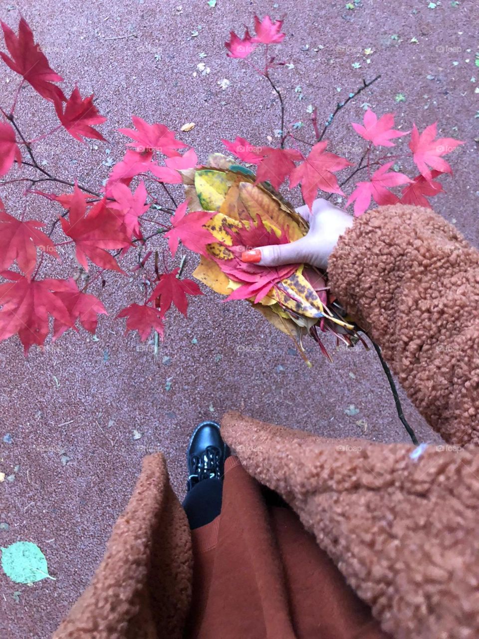 Autumn leaves falling 