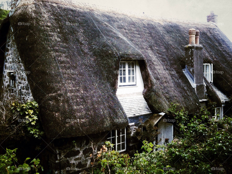green plants windows flats by sparklybangle