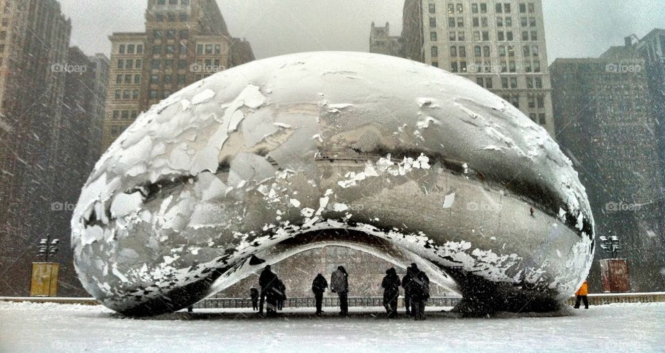 The Frozen Bean