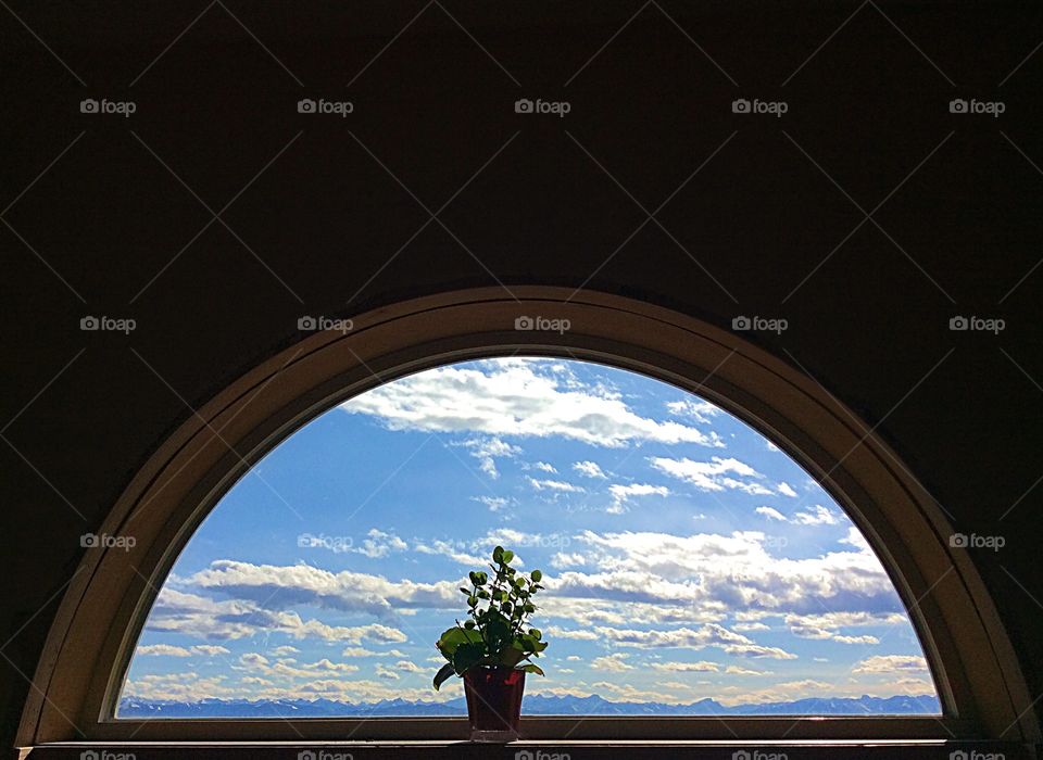Succulent in a window, plant, mountain background, blue sky, clouds, sunlight, semi-circle window, blue mountains, leaves, pot, plant, summer,sun. 