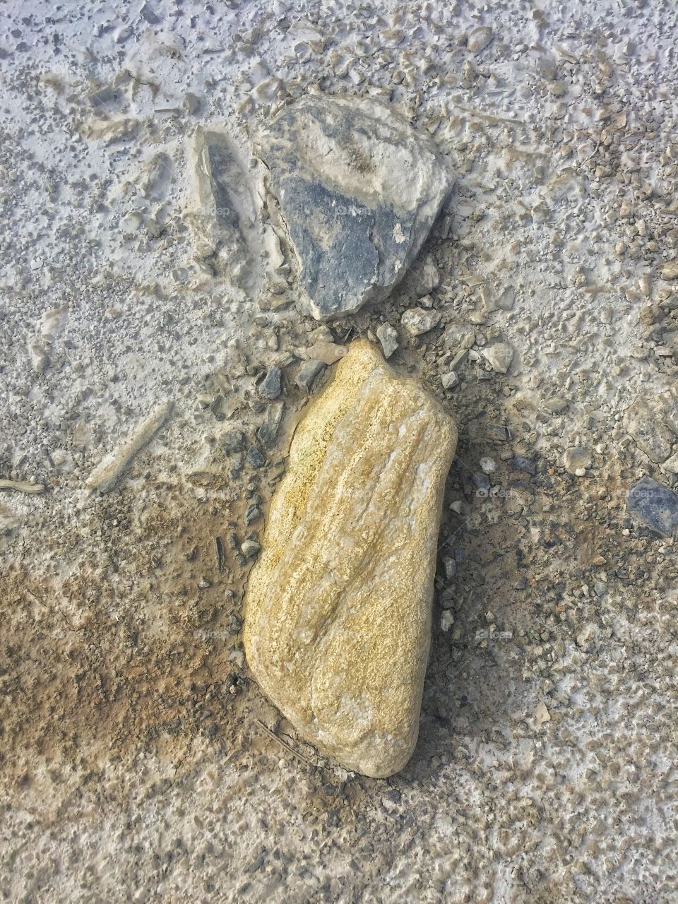 The little rocks in the street