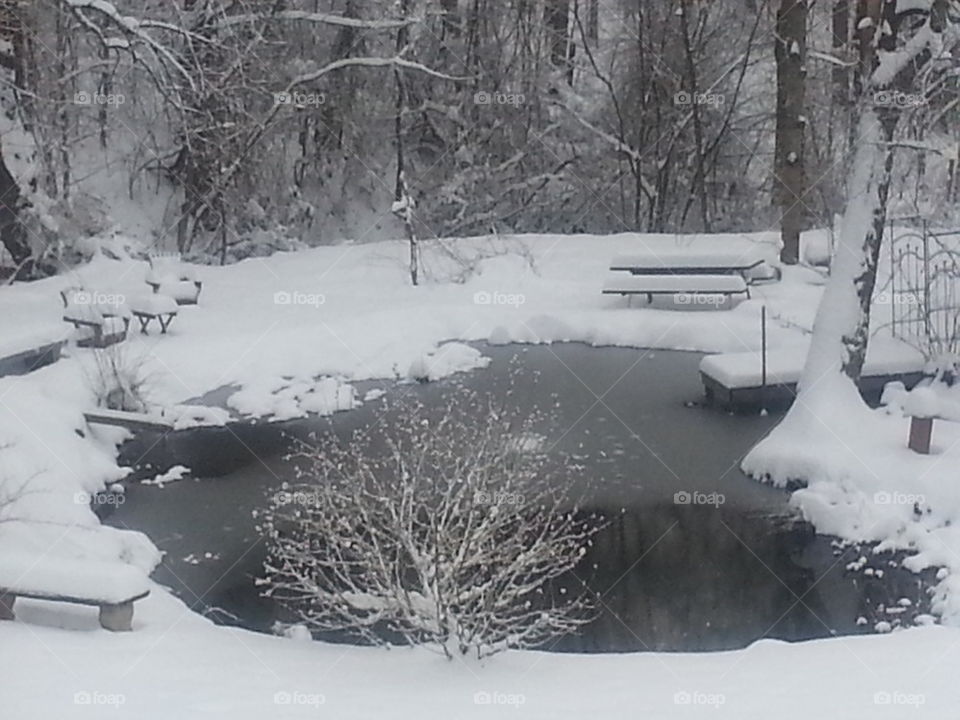 winter pond