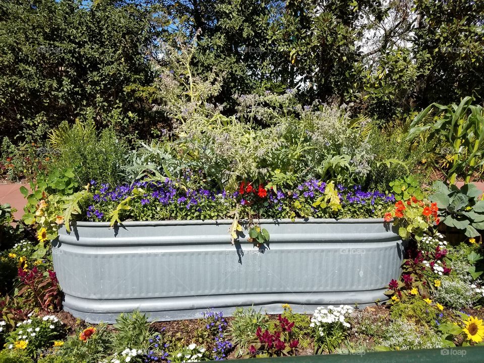 container garden