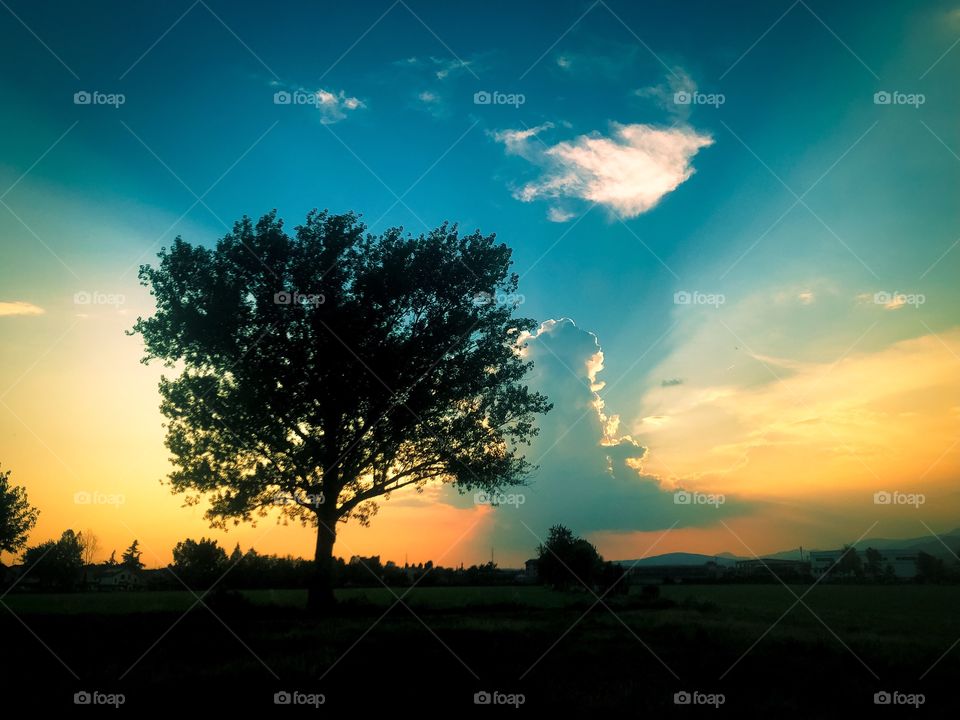 a tree highlighted by the shadow of a central cloud during the sunset, making a plume that turns a beautiful landscape