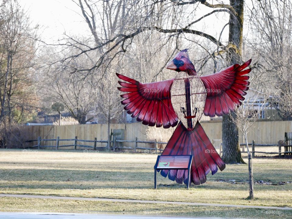 A metal art sculpture at a local city park. A beautiful red Cardinal. 