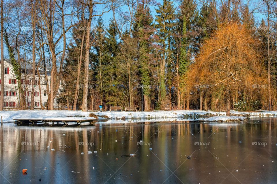 Winter reflections 