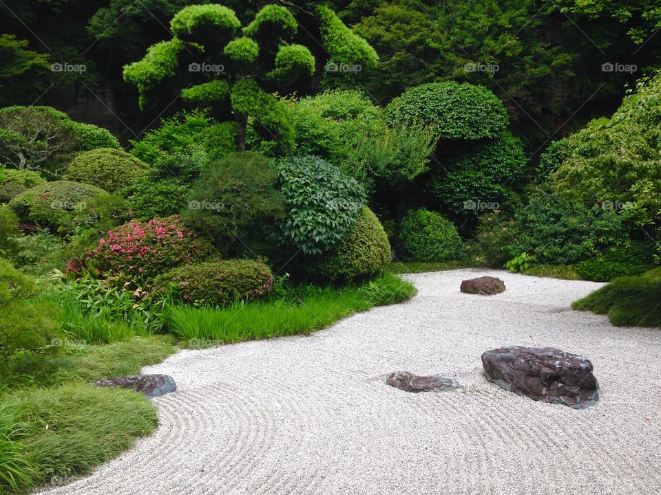 Garden, Nature, No Person, Tree, Park