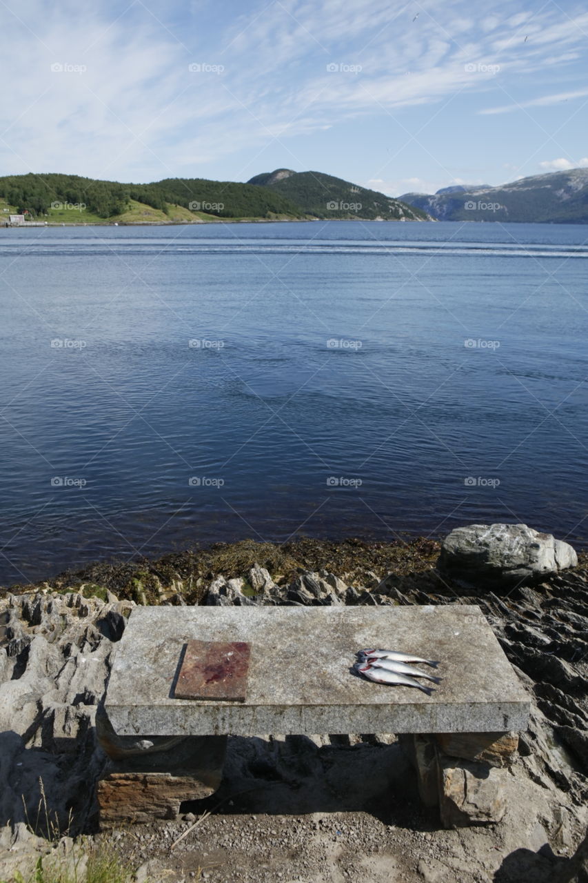 Fishing luck in north Norway Scandinavia 