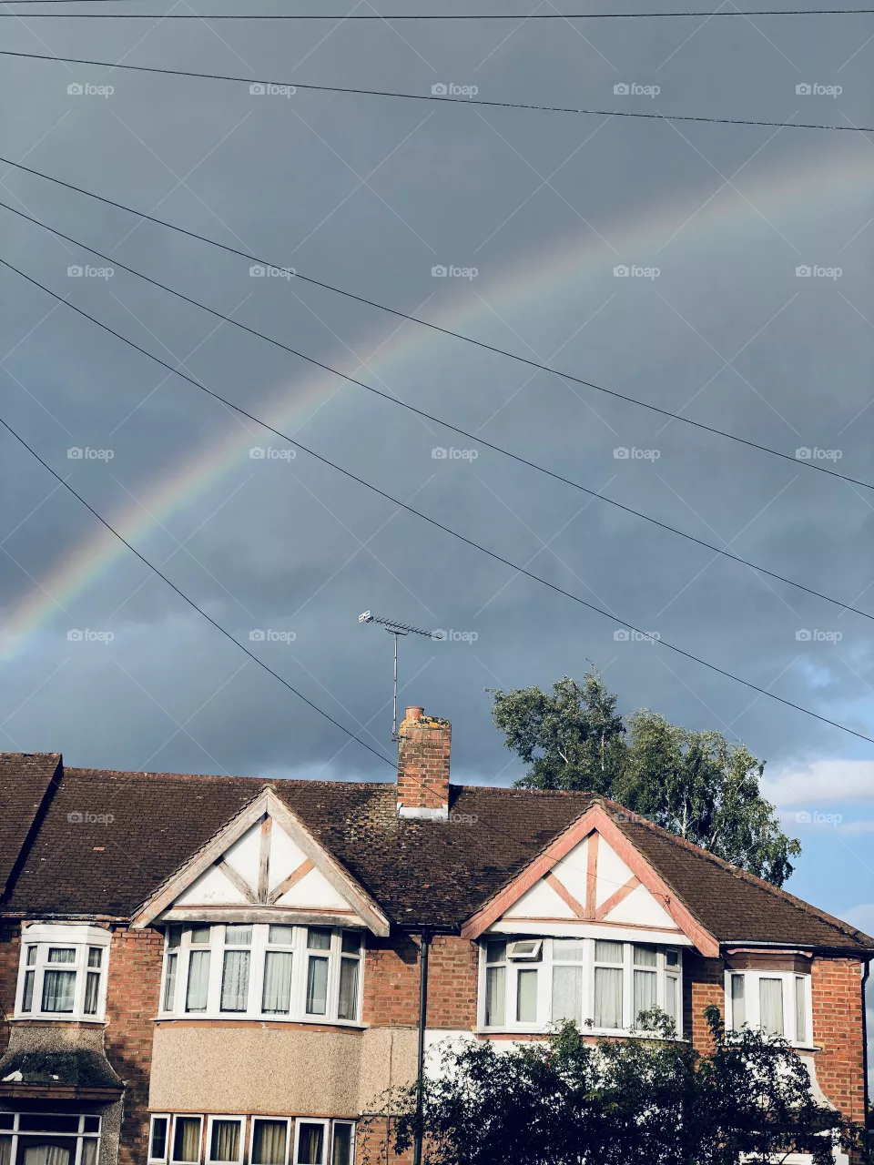 rainbow
