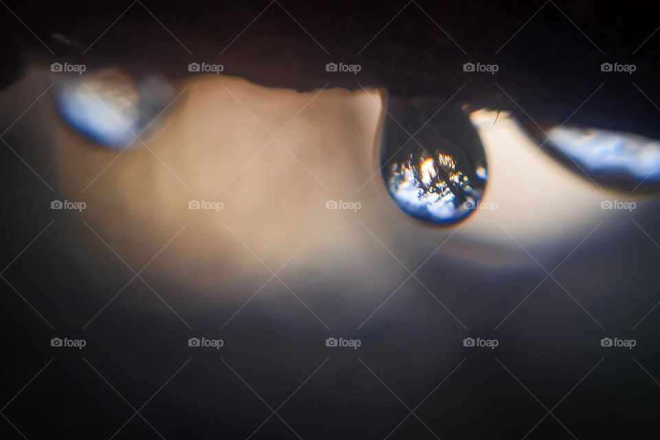 I love water and the potentials it give to the shots. Here's a drop that reflect the trees of the forest.