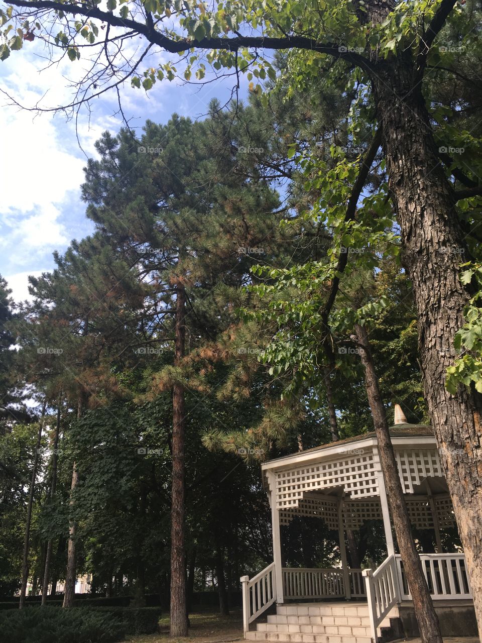 Veranda in Danube park in Novi Sad