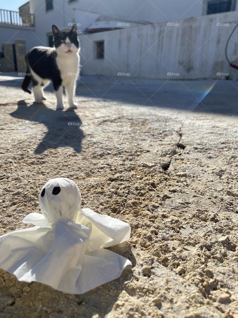 A silly Halloween Ghost is trying to frighten a cat.