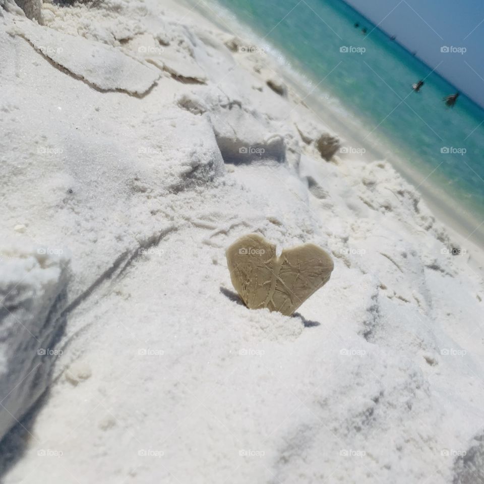 Heart Shaped sea shell in white sand on emerald coast blue water