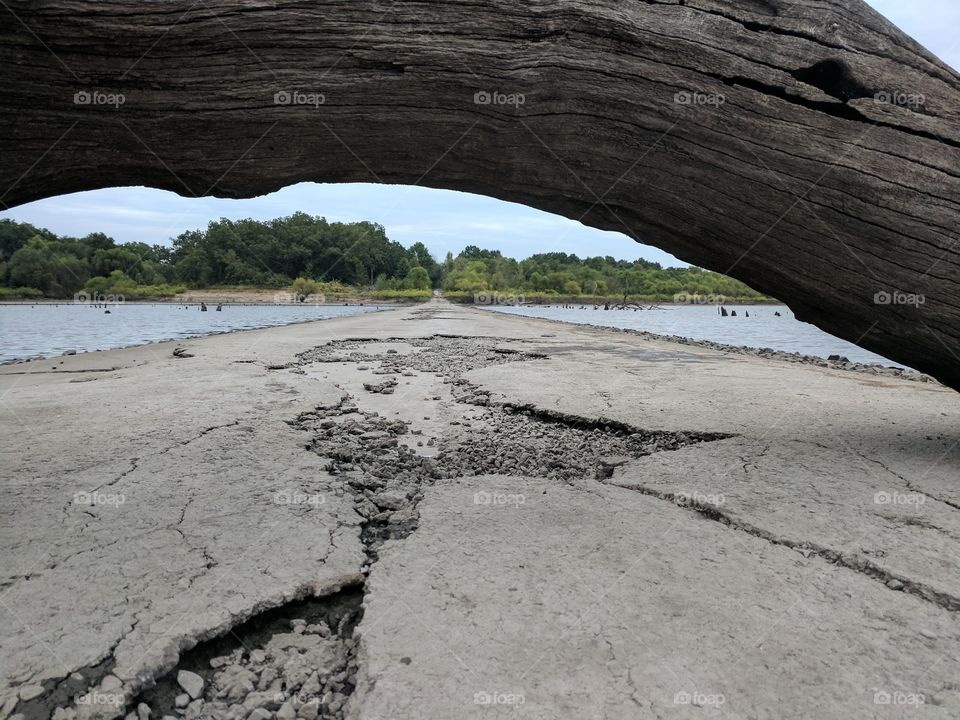 nature trail