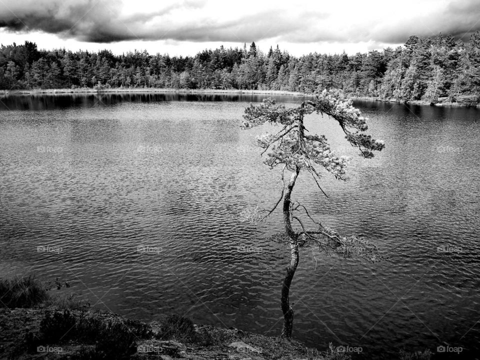 swedish lake