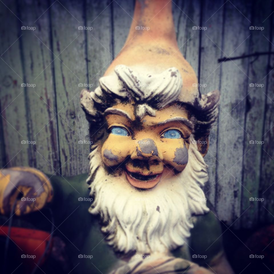 Creepy Gnome