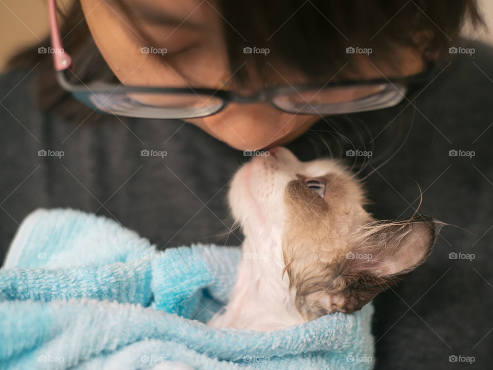 Cat in towel after shower 