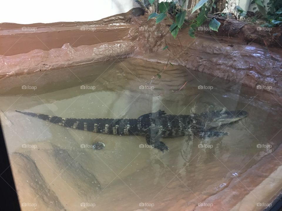 Water, No Person, River, Environment, Nature