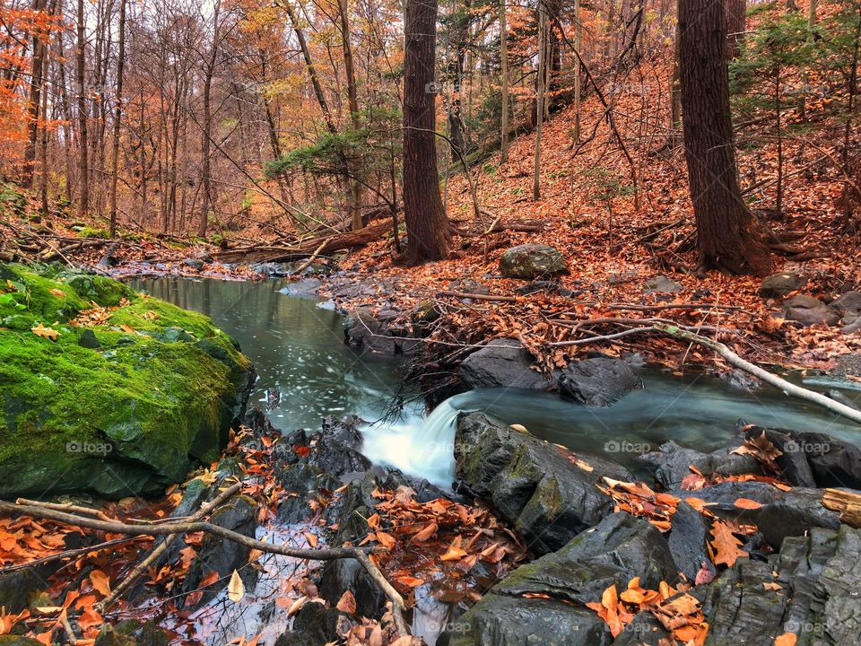 Stream in Autumn 