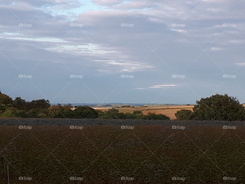 Landscape, No Person, Sky, Tree, Sunset