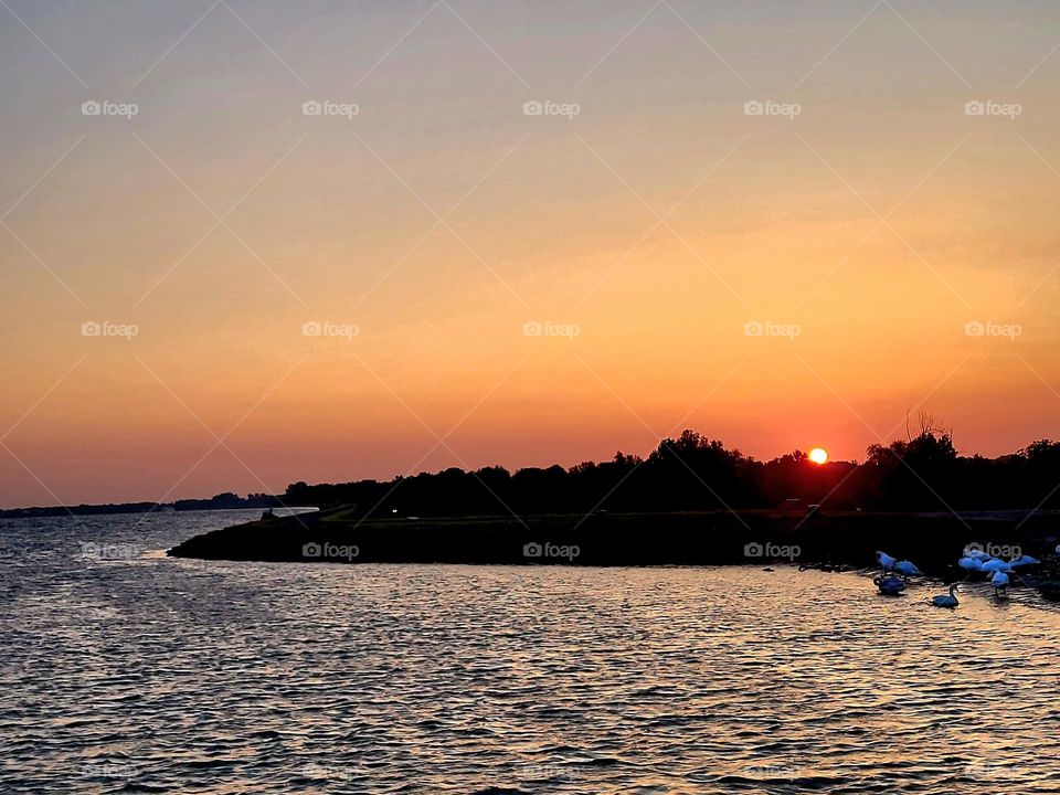 Sonnenaufgang 🌄 🌅 🌄