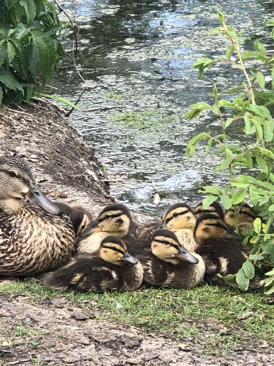 Mommy & baby 