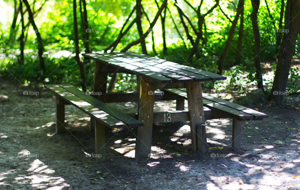 Table in the forest