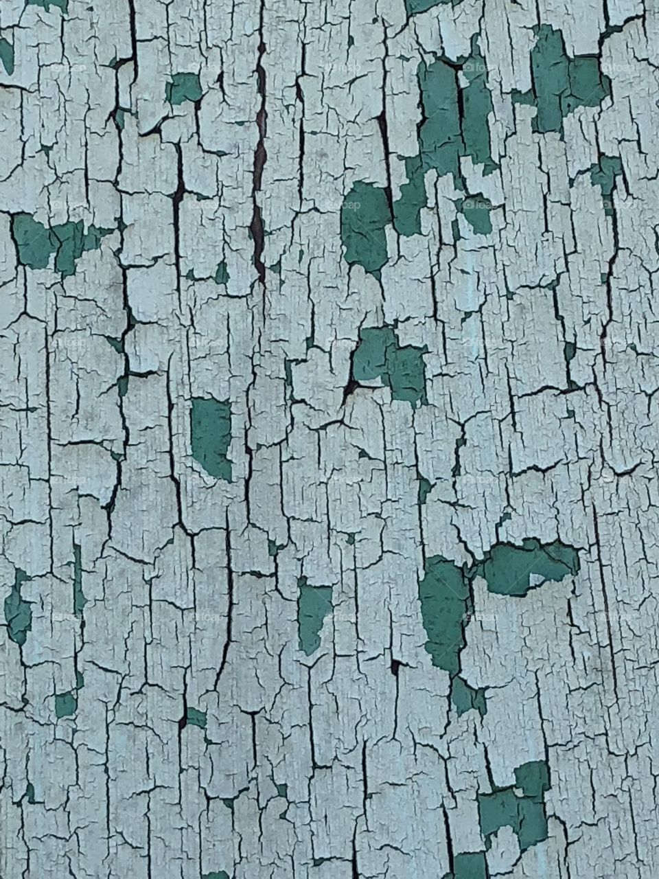 Aged cracked paint on wood door 