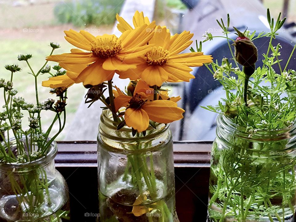 Fresh wildflowers in glass jars brighten up a kitchen window sill 