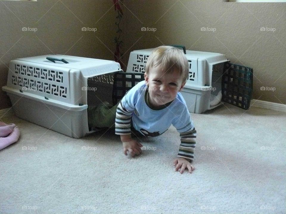 Baby in a car carrier