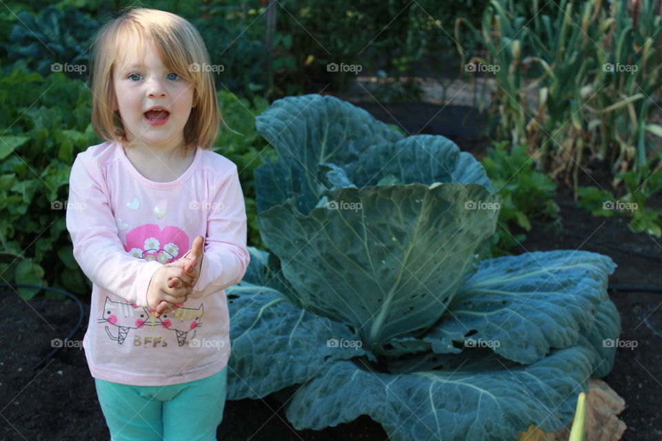 a girl and her cabbage