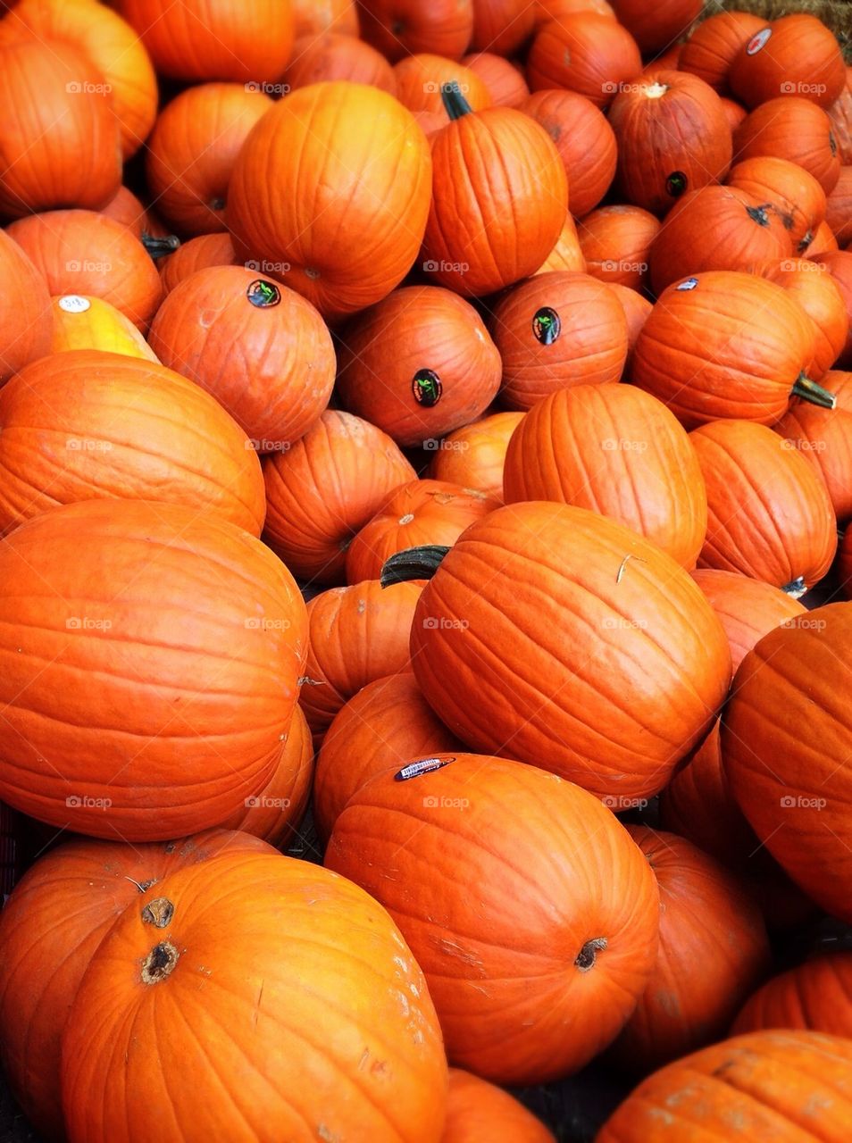 Future Jack-o-Lanterns