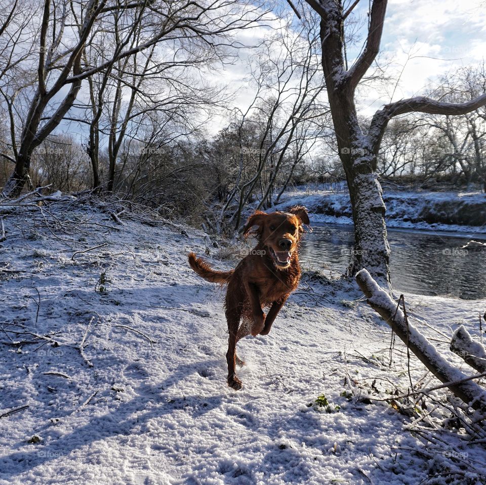 Happiness is going for a riverside run in the snow ❄️