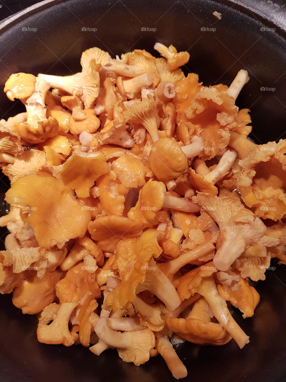 chantarelles