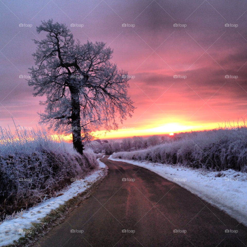 snow sky tree sun by chloemcgall