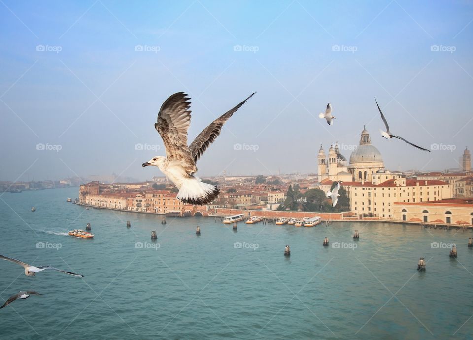 Top view of Venice