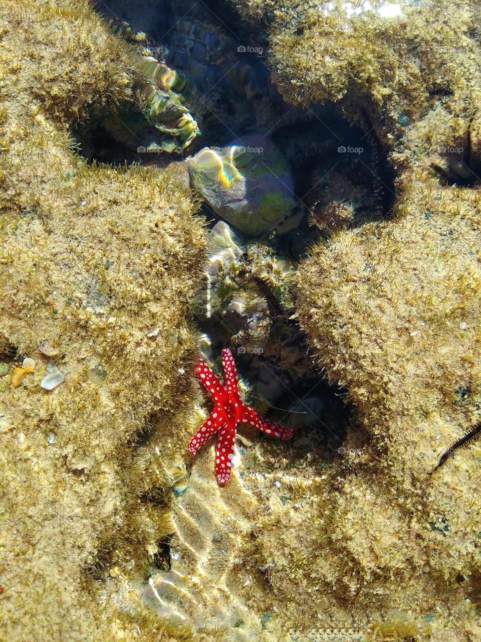 Upload your photo of the