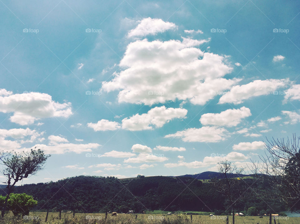 Are the clouds lower here?  It doesn't matter, what matters is trying to reach the sky! / As nuvens são mais baixas por aqui? Não importa, o que vale é tentar alcançar o céu!