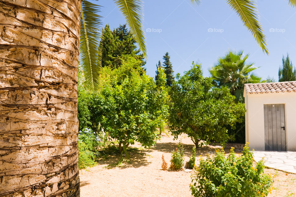 Summer garden, Spain