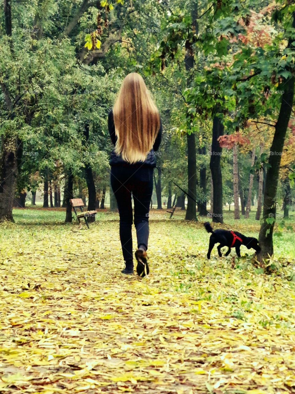 carpet of autumn leaves