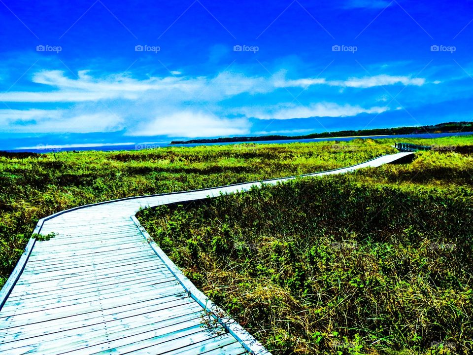 The Nun's Path. Walking a discovered path alone in Port Hood, Cape Breton, when a Nun in full habit appears from nowhere;)
