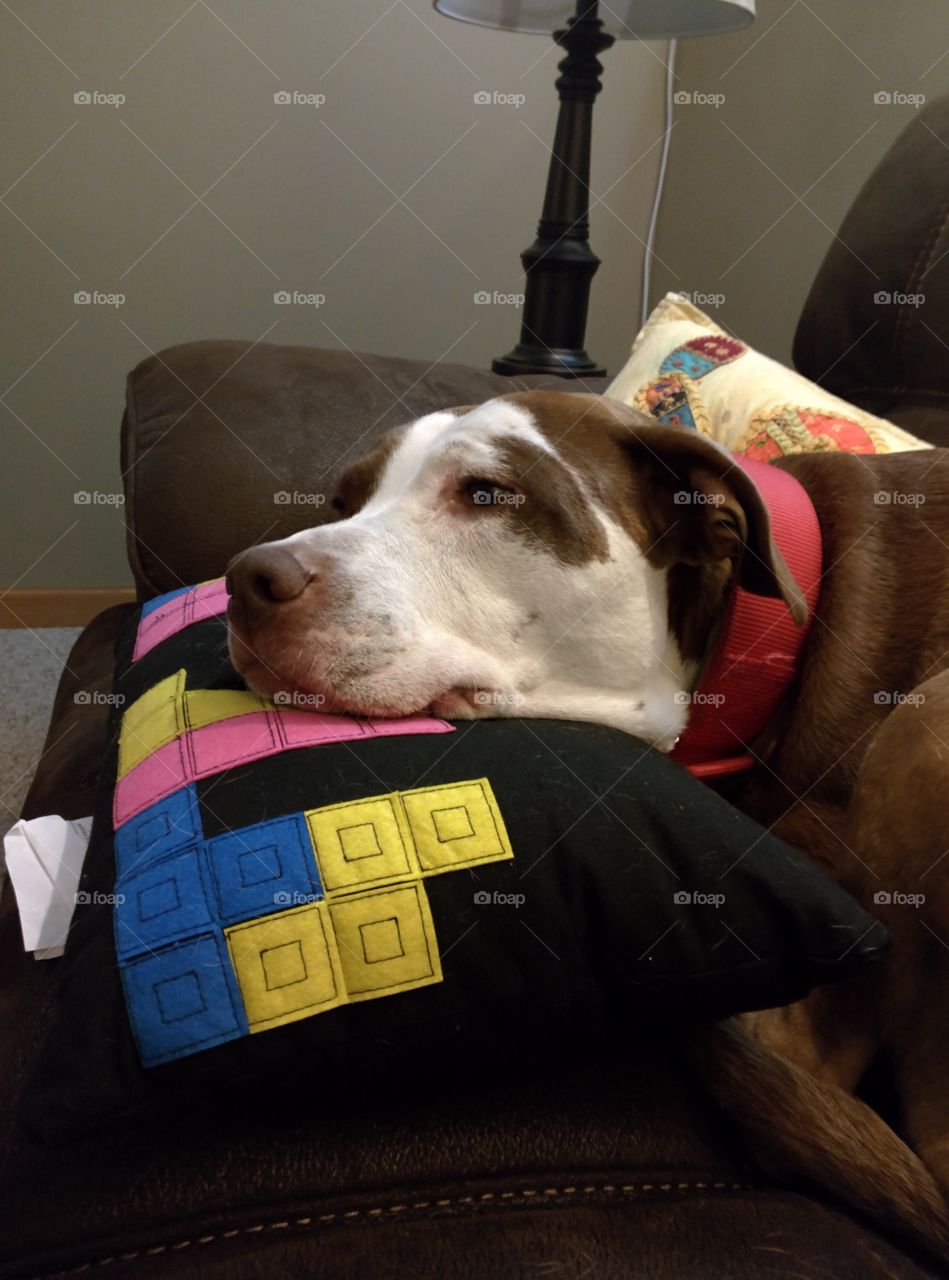 lounging on the Tetris pillow