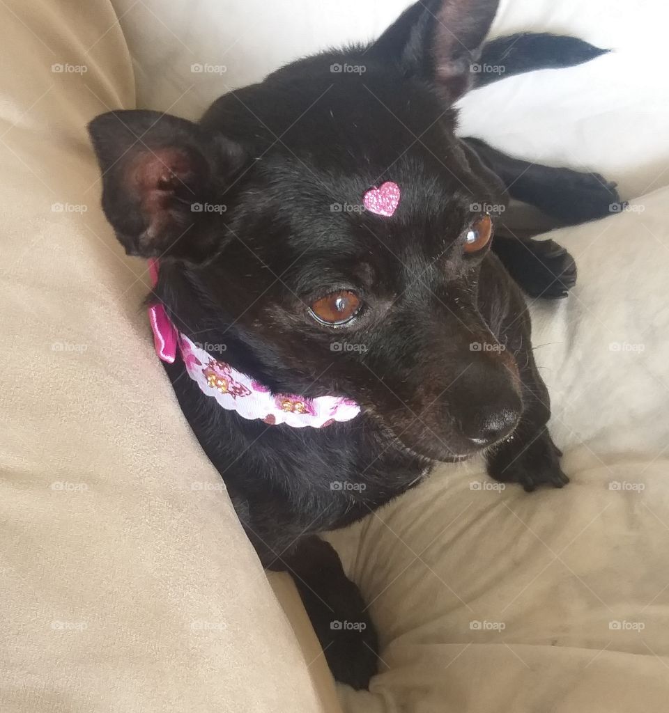 Lots of cuteness and love.